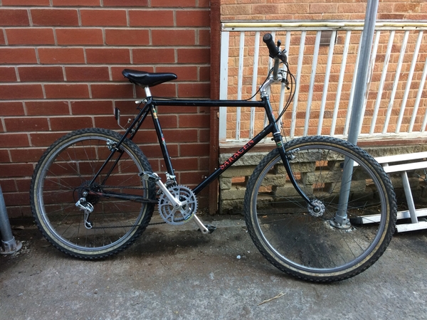 1984 Saracen 