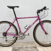 1989.jpg