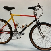 1989.jpg