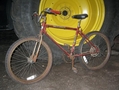 1982.jpg