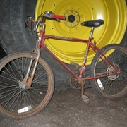 1982.jpg