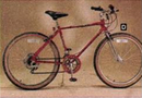 1983.jpg