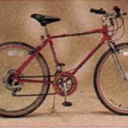 1983.jpg