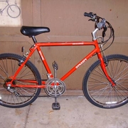 1986.jpg