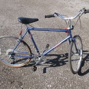 1987.jpg