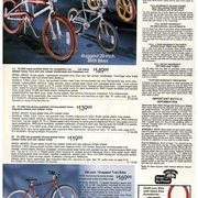 cat1982.jpg