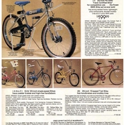 cat1983.jpg