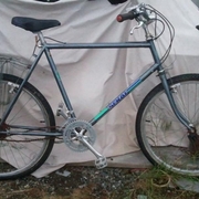 1983.jpg