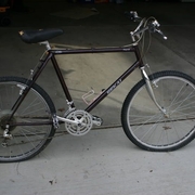 1984.jpg