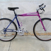 1990.jpg