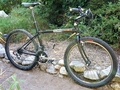 1993.jpg