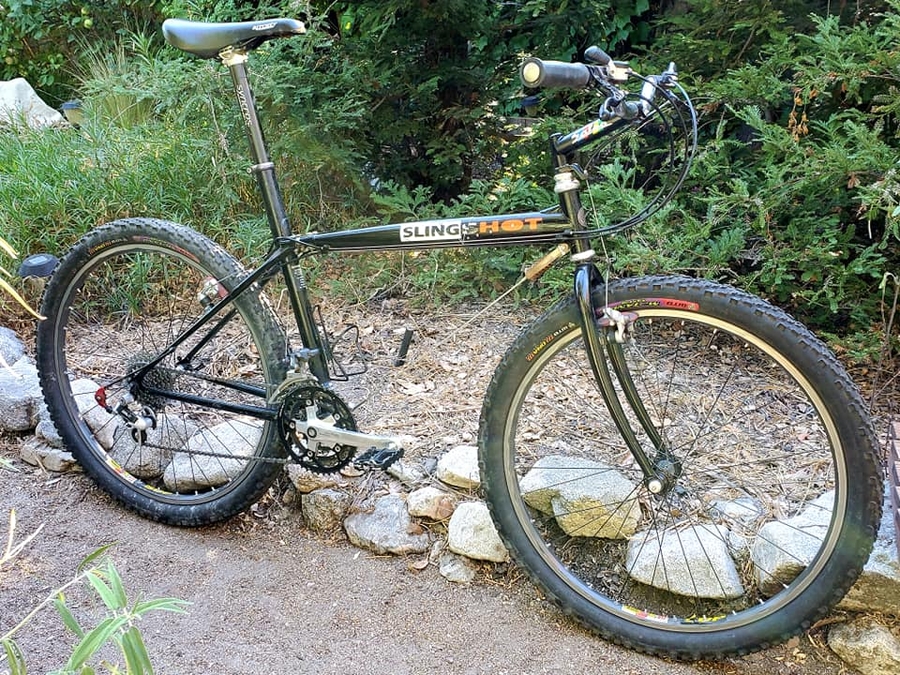 1993.jpg