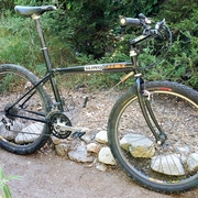 1993.jpg