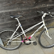 1988.jpg