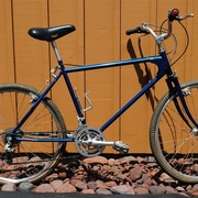 1982.jpg