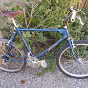 1987.jpg