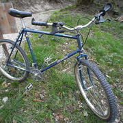 1981.jpg