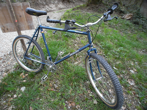 1981 Stumpjumper 