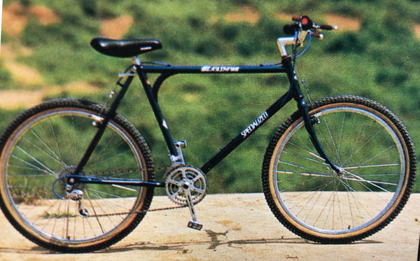 1981 Prototype 