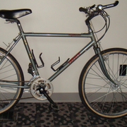 1982.jpg
