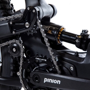 pinion.jpg