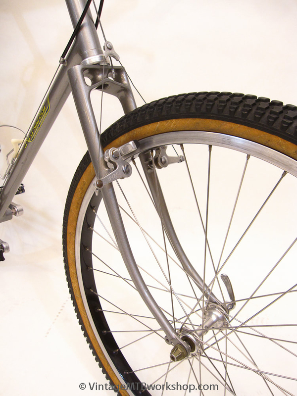 snakebellies on a 1980 ritchey