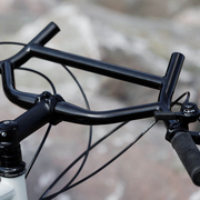 surly.jpg