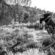 tomac3.jpg