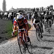 tomac8.jpg