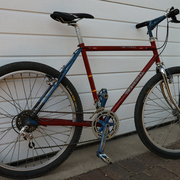 1982.jpg