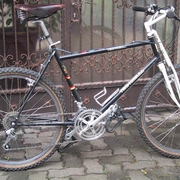 1985.jpg