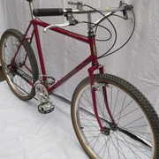 1984.jpg