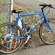 1989.jpg