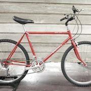 1986.jpg