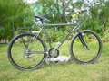 Proteus