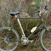 1981.jpg
