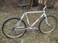 1985.jpg