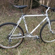 1985.jpg